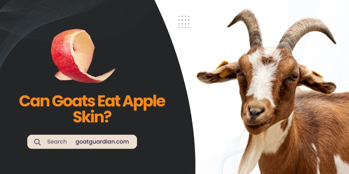 Can Goats Eat Apple Skin