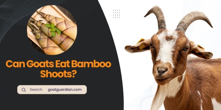 Can Goats Eat Bamboo Shoots? (with Nutritional Value)