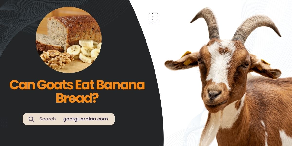 Can Goats Eat Banana Bread