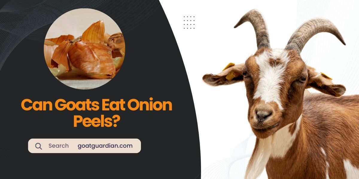 Can Goats Eat Onion Peels