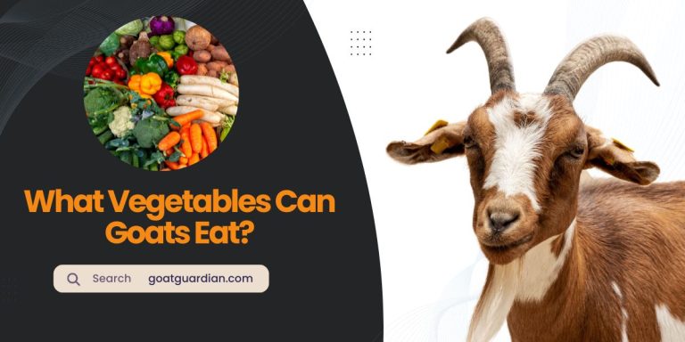 What Vegetables Can Goats Eat? Discover the Power of Healthy Greens!
