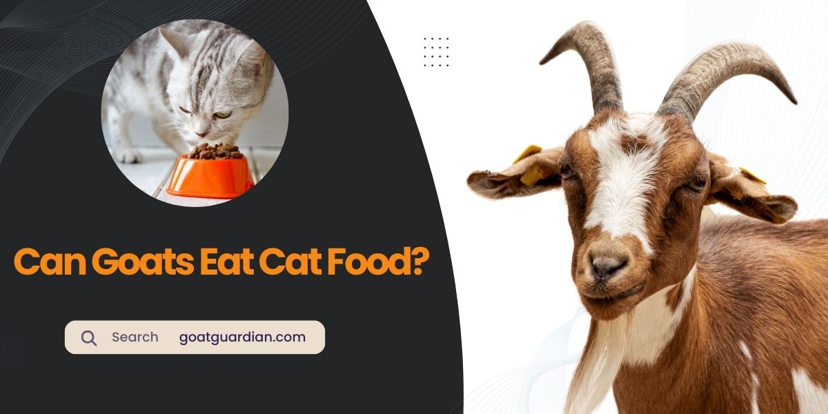Can Goats Eat Cat Food