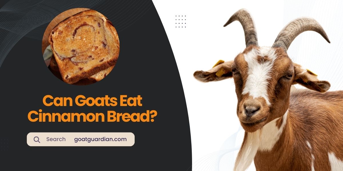 Can Goats Eat Cinnamon Bread