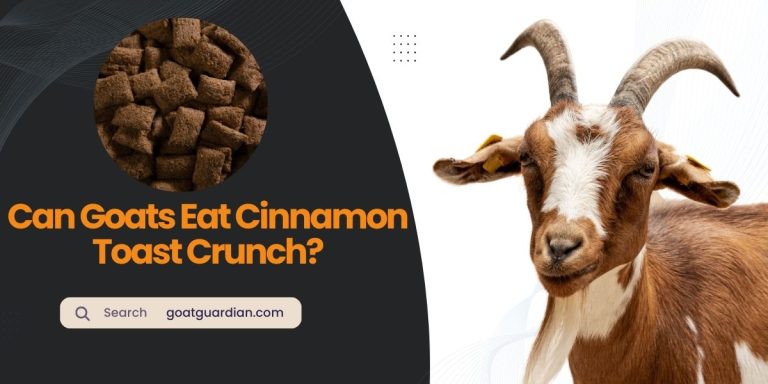 Can Goats Eat Cinnamon Toast Crunch? (YES or NO)