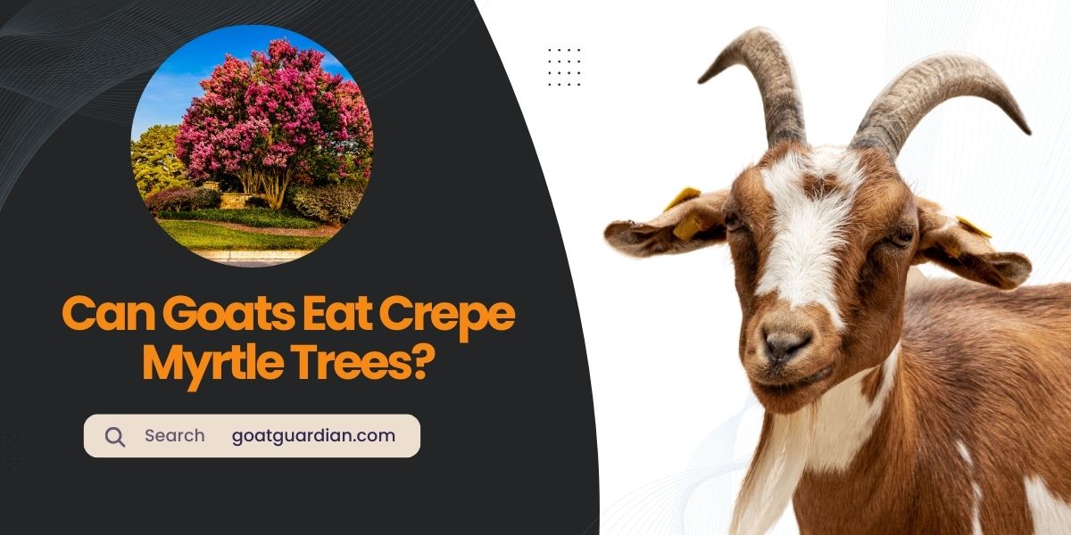 Can Goats Eat Crepe Myrtle Trees
