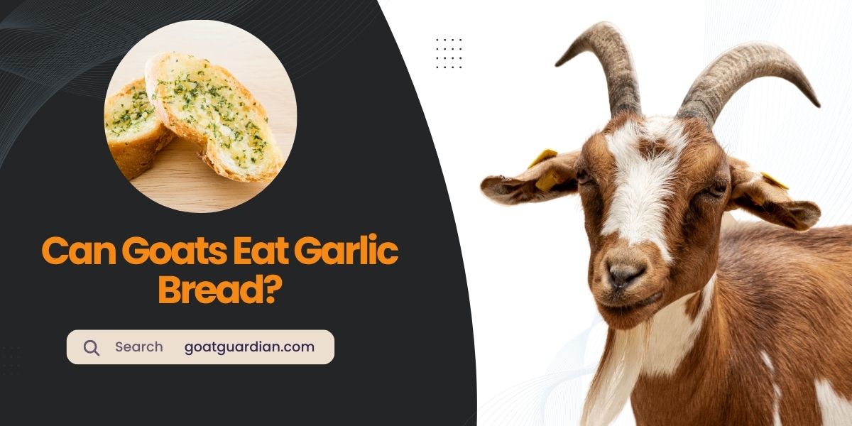 Can Goats Eat Garlic Bread