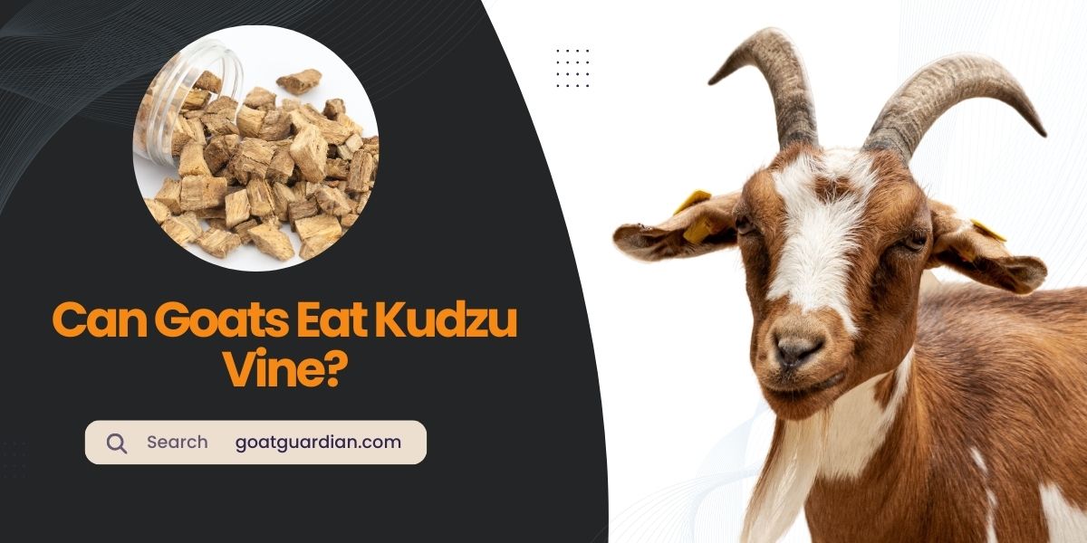 Can Goats Eat Kudzu Vine