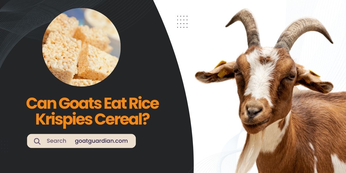 Can Goats Eat Rice Krispies Cereal