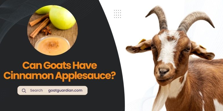 Can Goats Have Cinnamon Applesauce? (YES or NO)