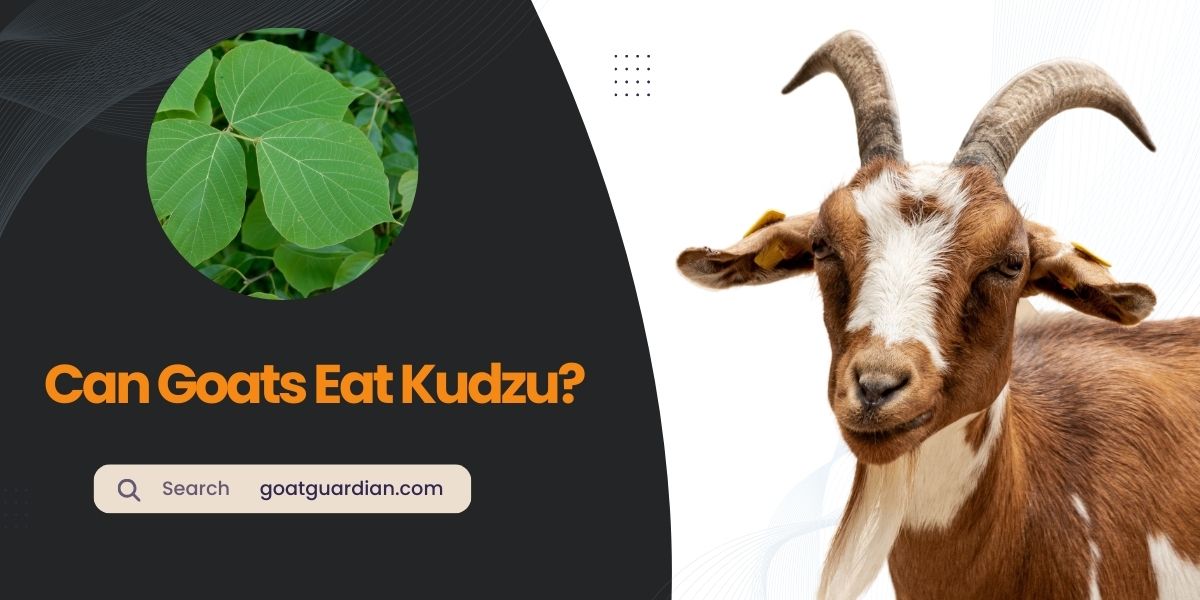 Do Goats Eat Kudzu