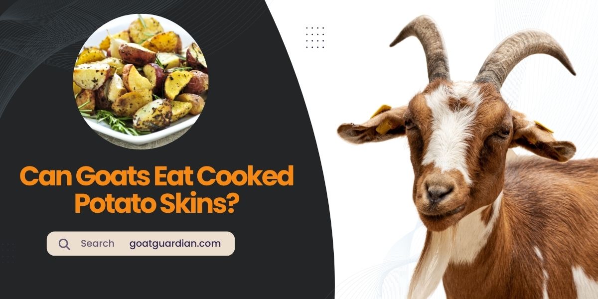 Can Goats Eat Cooked Potato Skins