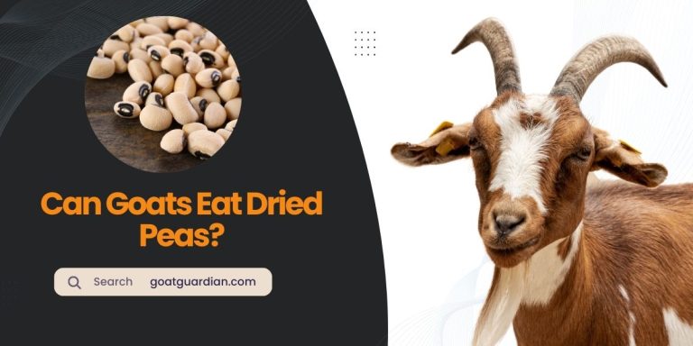 Can Goats Eat Dried Peas? (Truth Revealed)