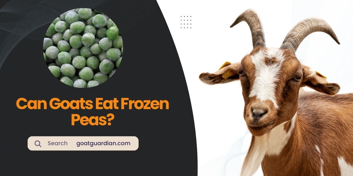 Can Goats Eat Frozen Peas