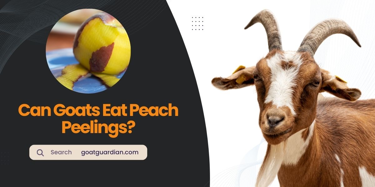 Can Goats Eat Peach Peelings