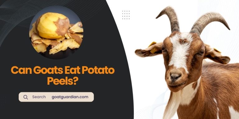 Can Goats Eat Potato Peels? Is It Safe?