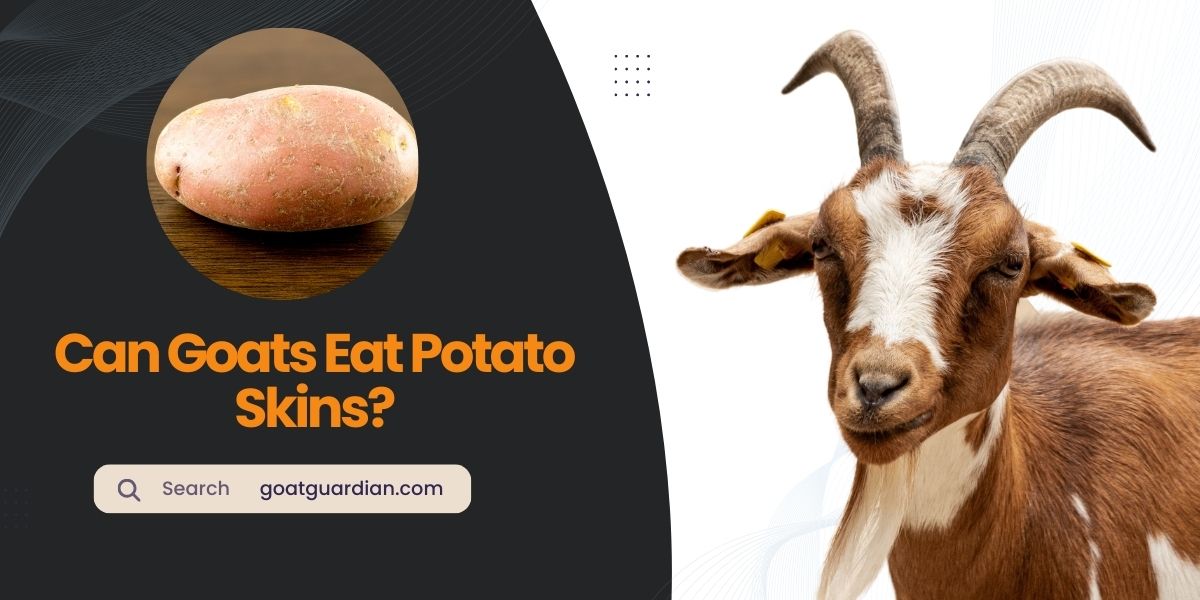 Can Goats Eat Potato Skins
