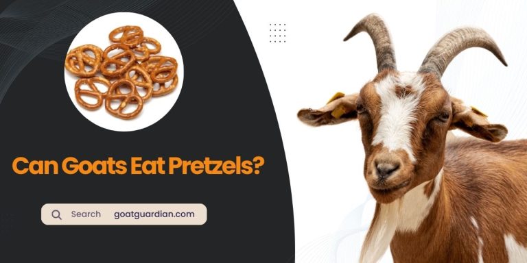 Can Goats Eat Pretzels? (Safe or Risky)