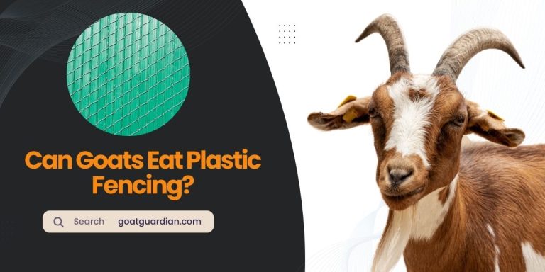 Will Goats Eat Plastic Fencing? (with Alternatives)