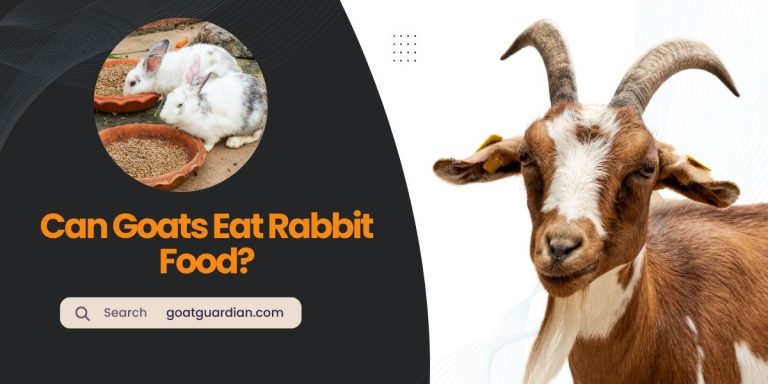 Can Goats Eat Rabbit Food? (Benefits and Risks)