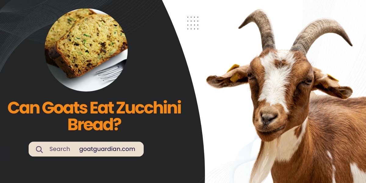 Can Goats Eat Zucchini Bread