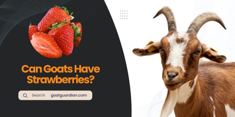 Can Goats Have Strawberries? (with Alternatives)