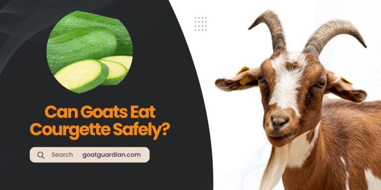 Can Goats Eat Courgette Safely? Must-Know Facts